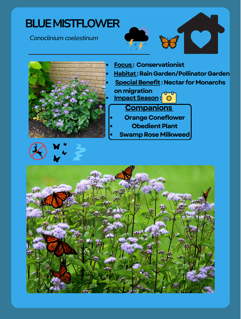 Card Game Blue Mist Flower.png