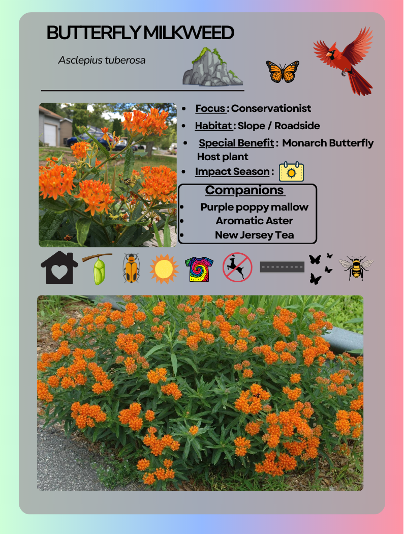 Card Game Butterfly Milkweed.png