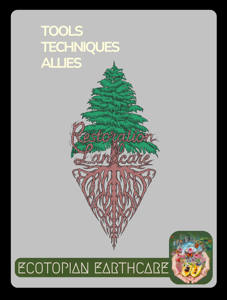 Card Game Tools Techniques Allies (1).png