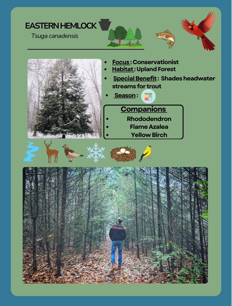 Card Game Hemlock.png