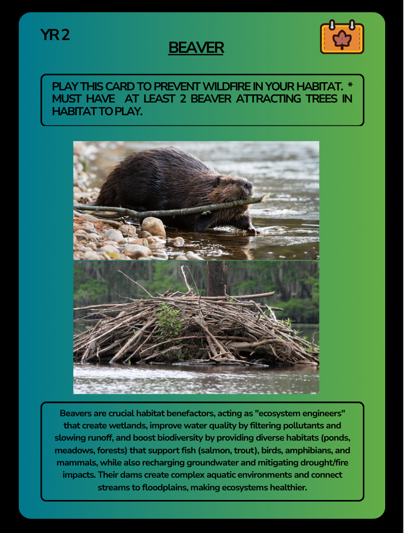 Card Game Beaver.png