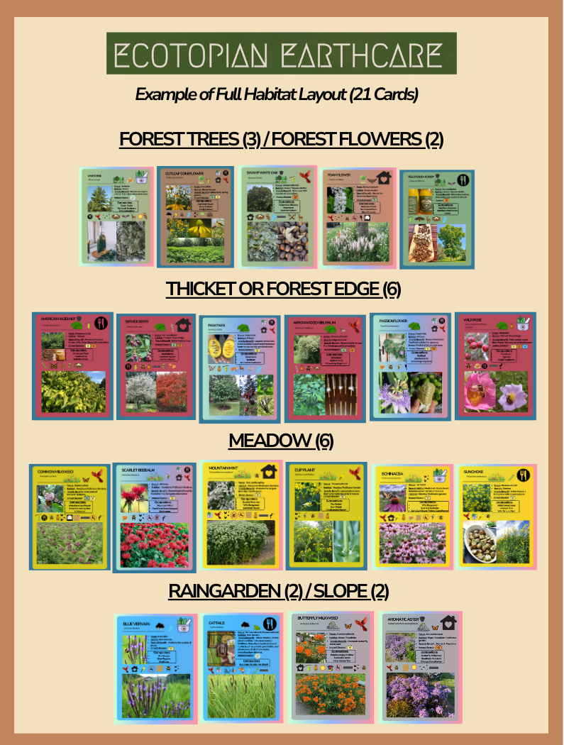 Card Game Habitat Layout (1).png