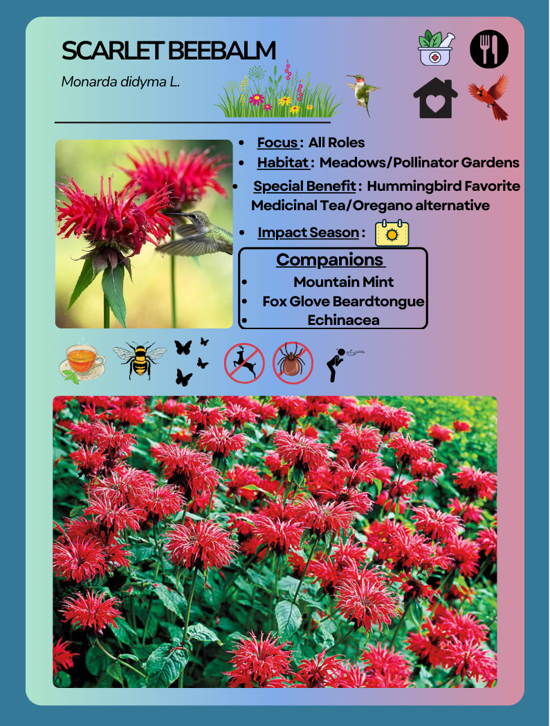 Card Game Scarlet Beebalm.png