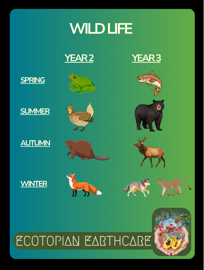 Card Game Wildlife.png