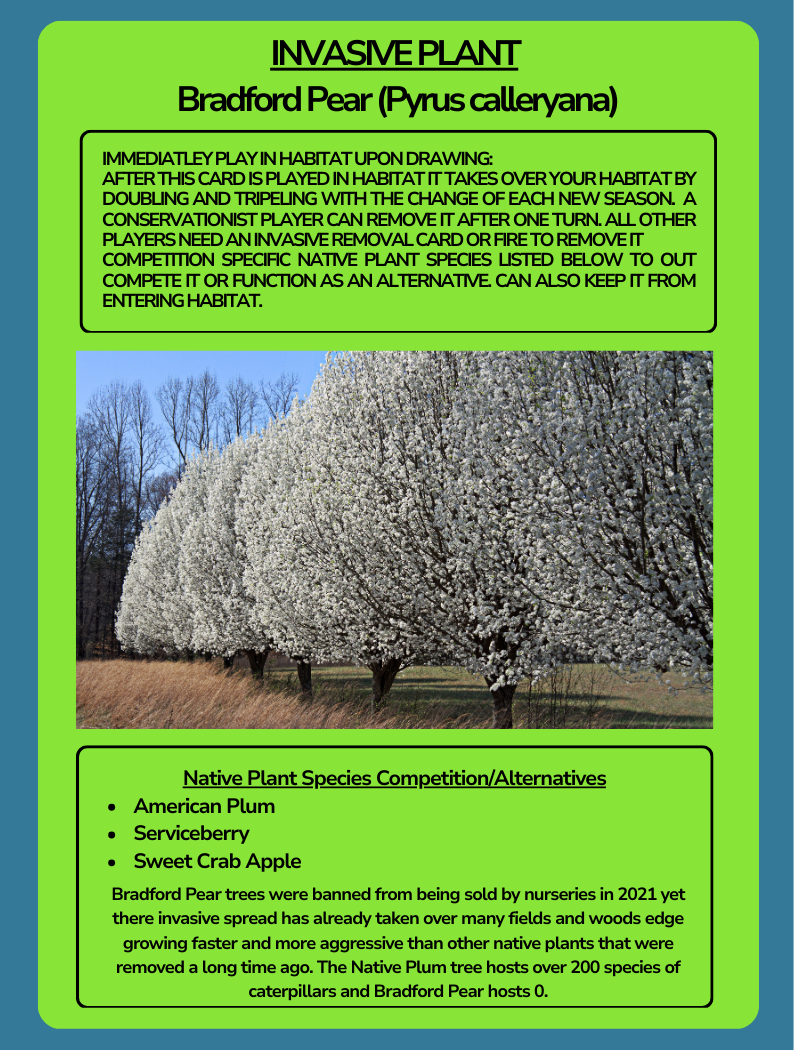 Card Game Invasive Plant Bradford Pear.png
