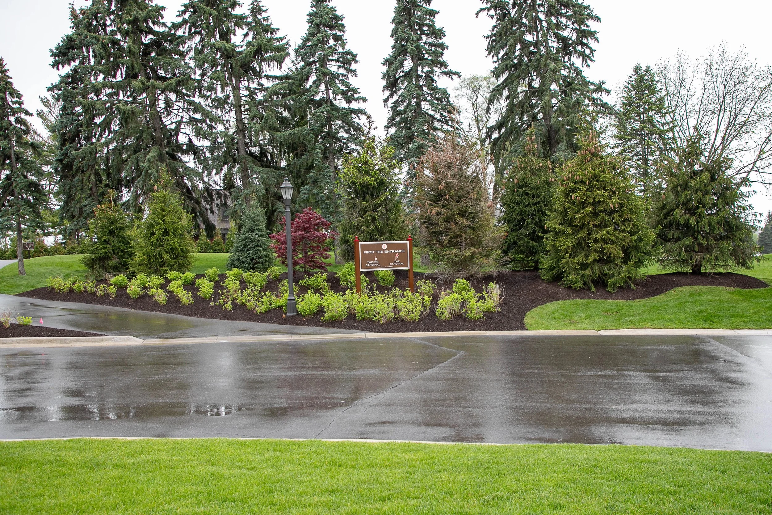 307250_9231.jpg
