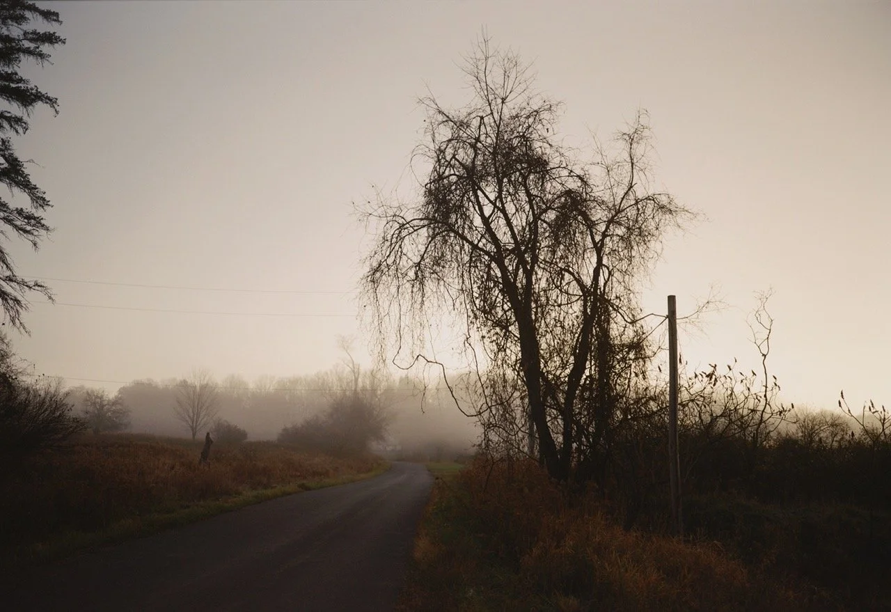 441856_1899_01 Large.jpeg