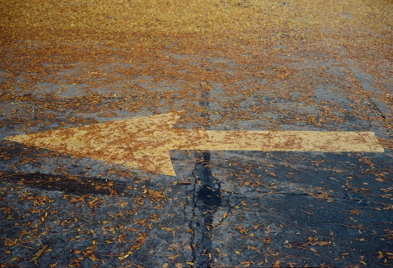 451389_1629_01 Large.jpeg