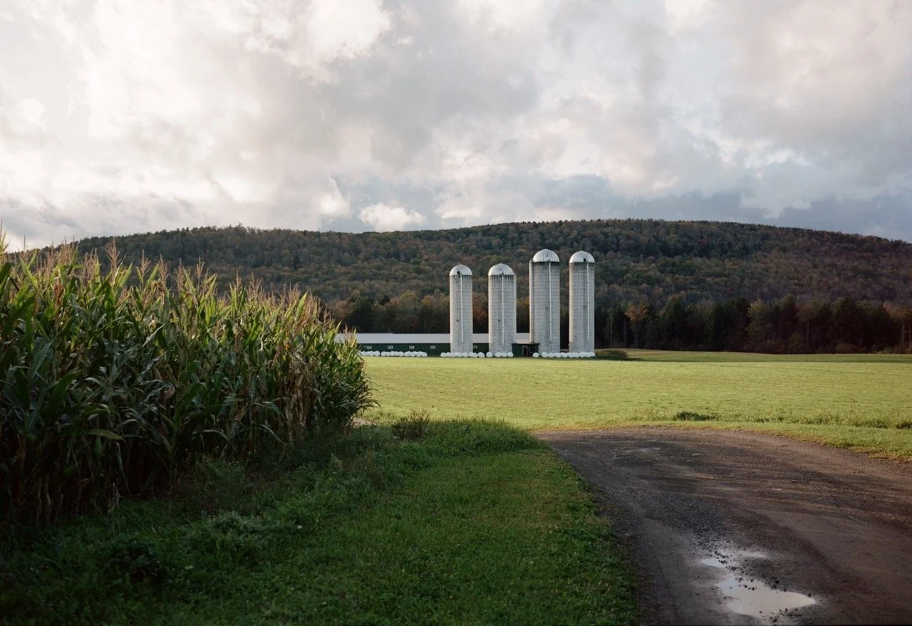 451389_1627_06 Large.jpeg