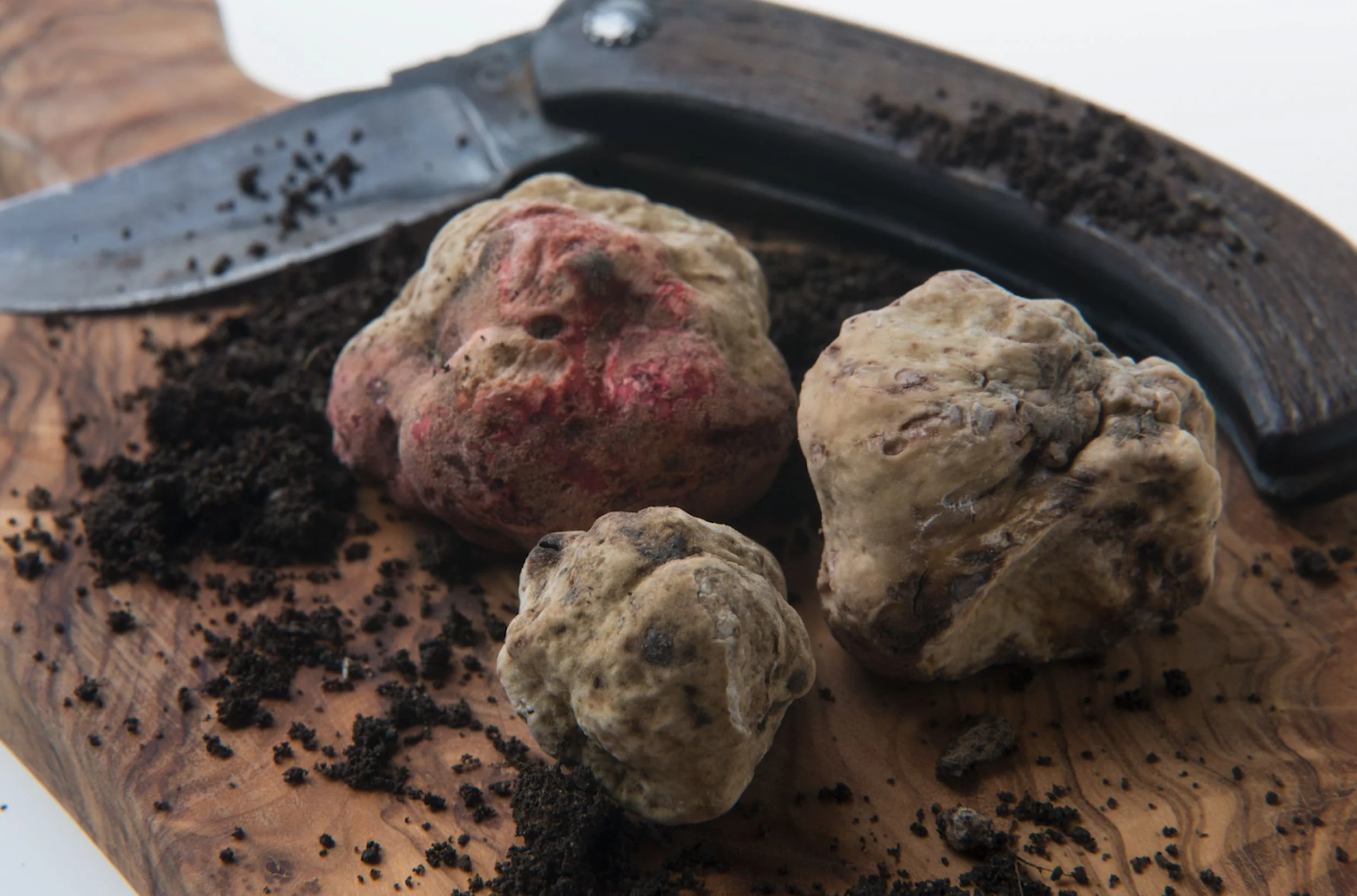Truffle Dinner at Cantinetta Wallingford