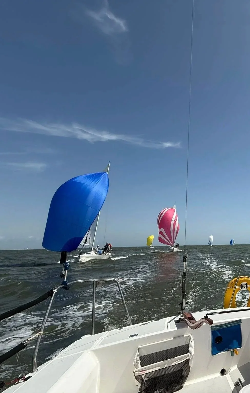 Billowing blue, yellow and pink sails on sailboats on the water