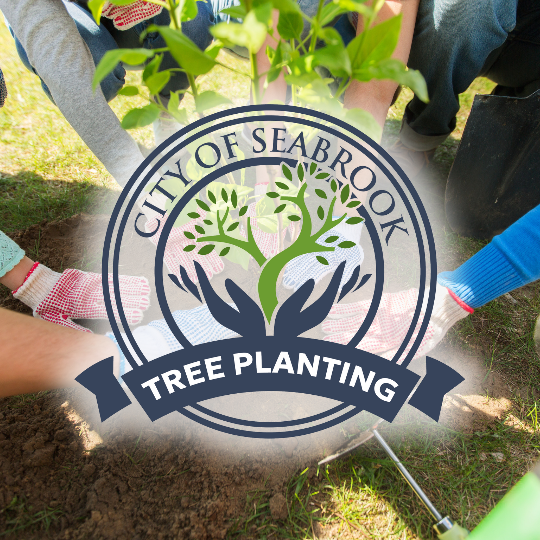 Tree Planting Day of Awesomeness