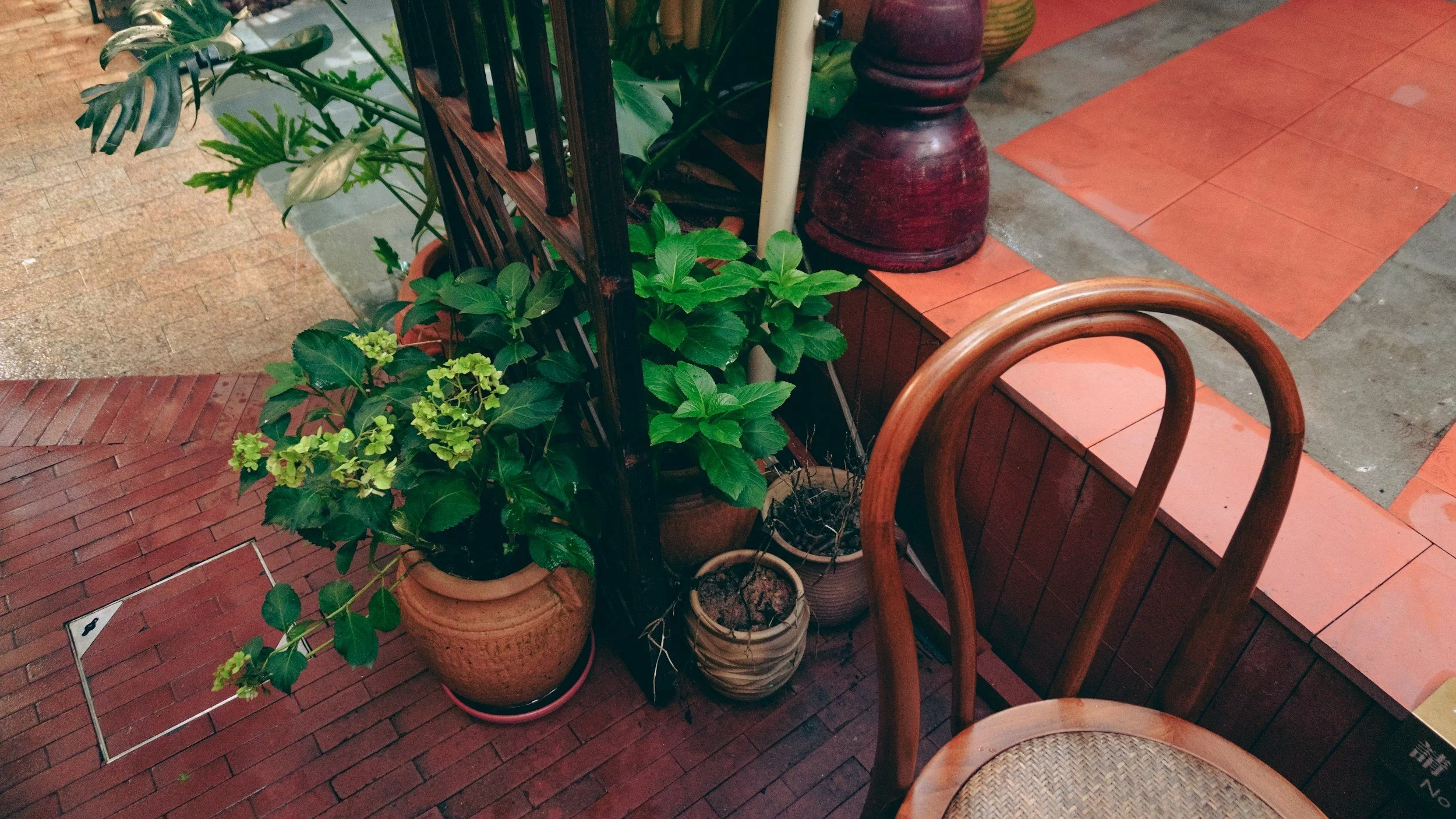 Potted plants against an iron railing and a wooden chair