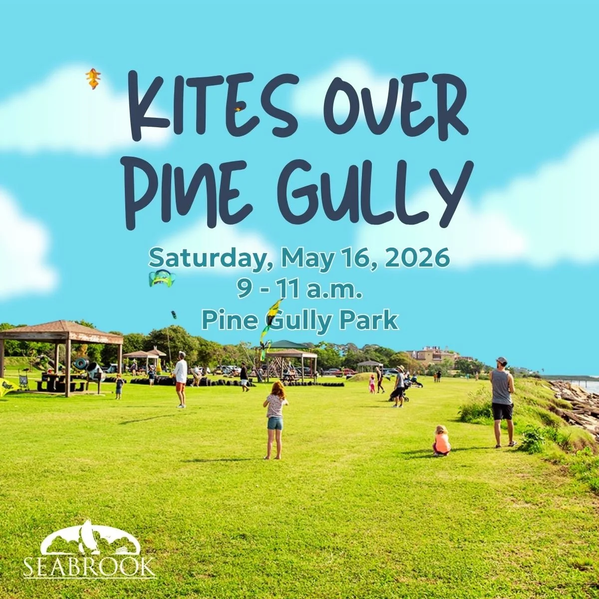 Kites Over Pine Gully Park