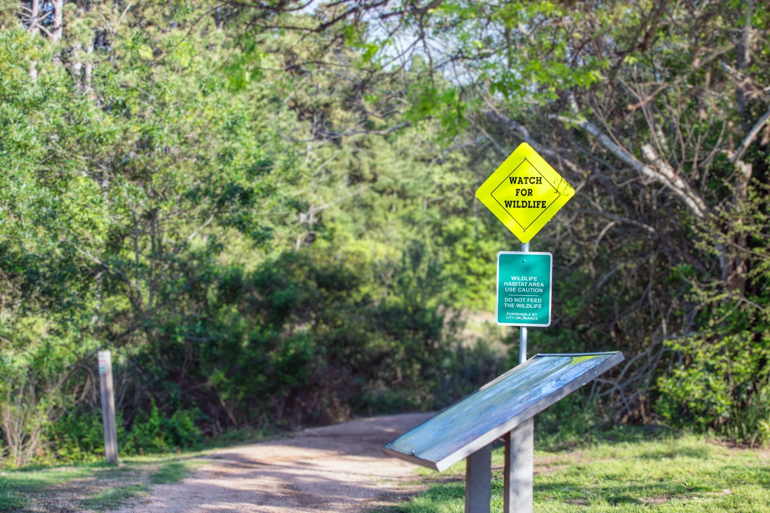 TrashBash2024-30 copy.jpg