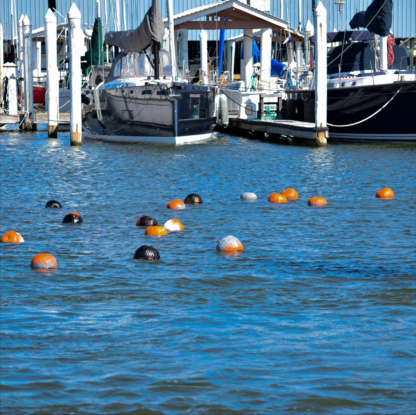 Boats in water at a marina with buoys floating in front