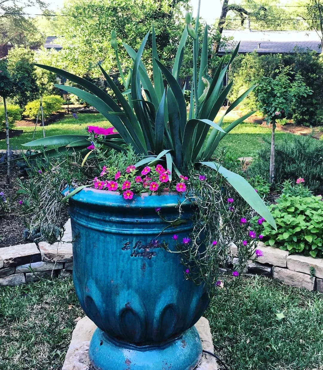 Large blue planter with pink flowers and tall green leaves