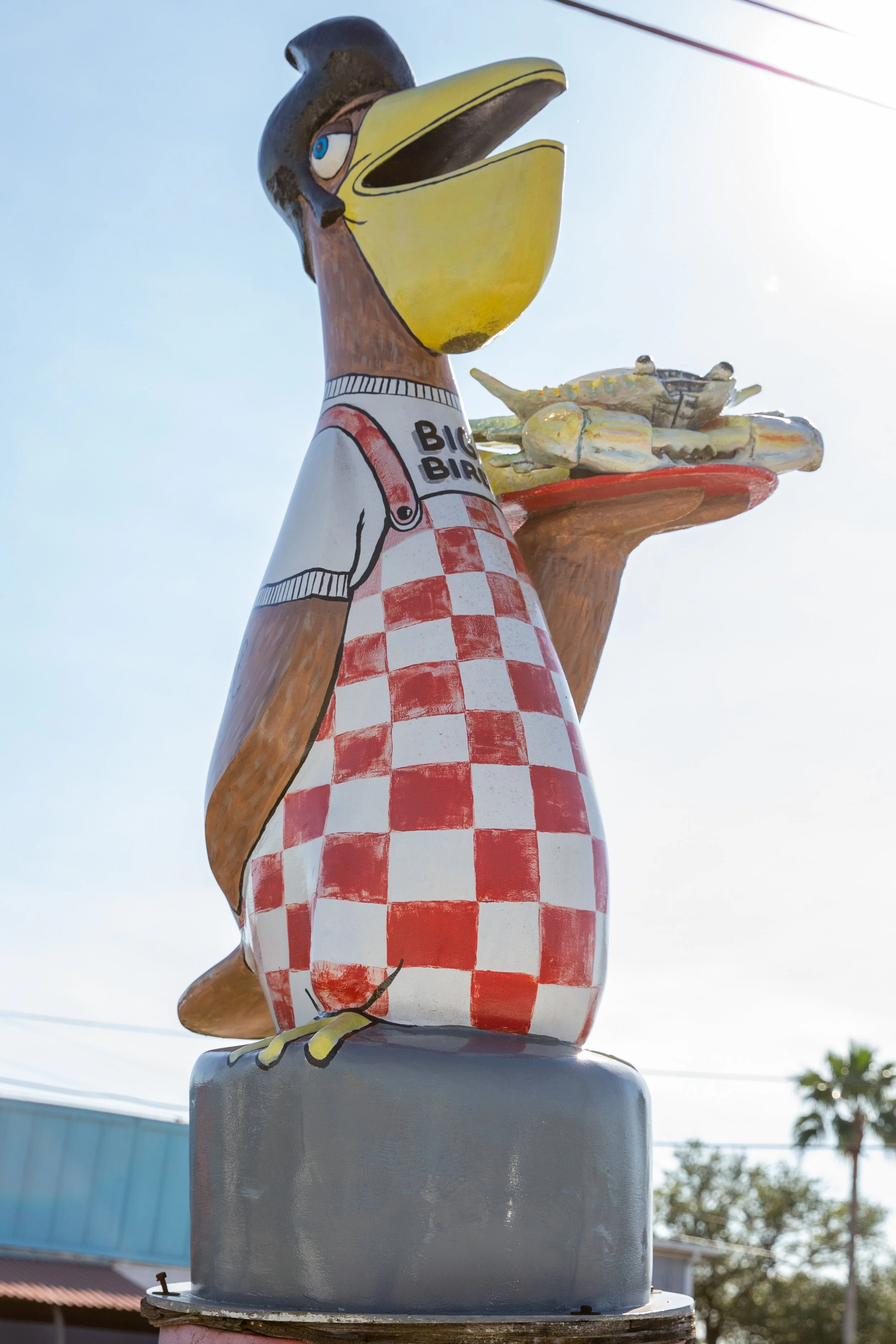 Big Bird.jpg