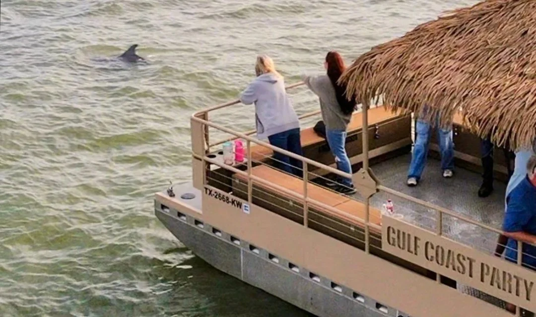People standing at rail of barge watching a dolphin in the water