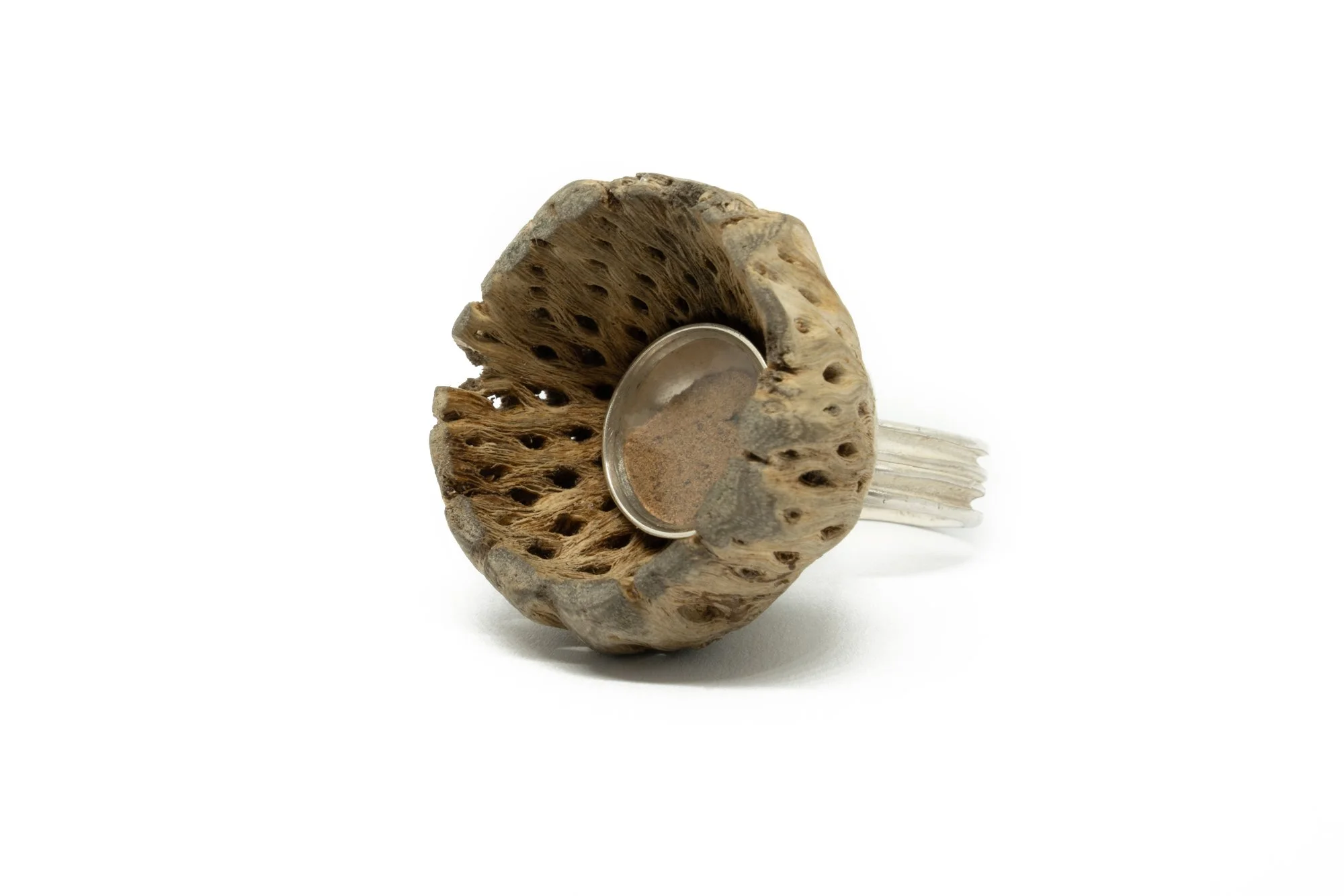 3Kamile Staneliene. Ring.jpg