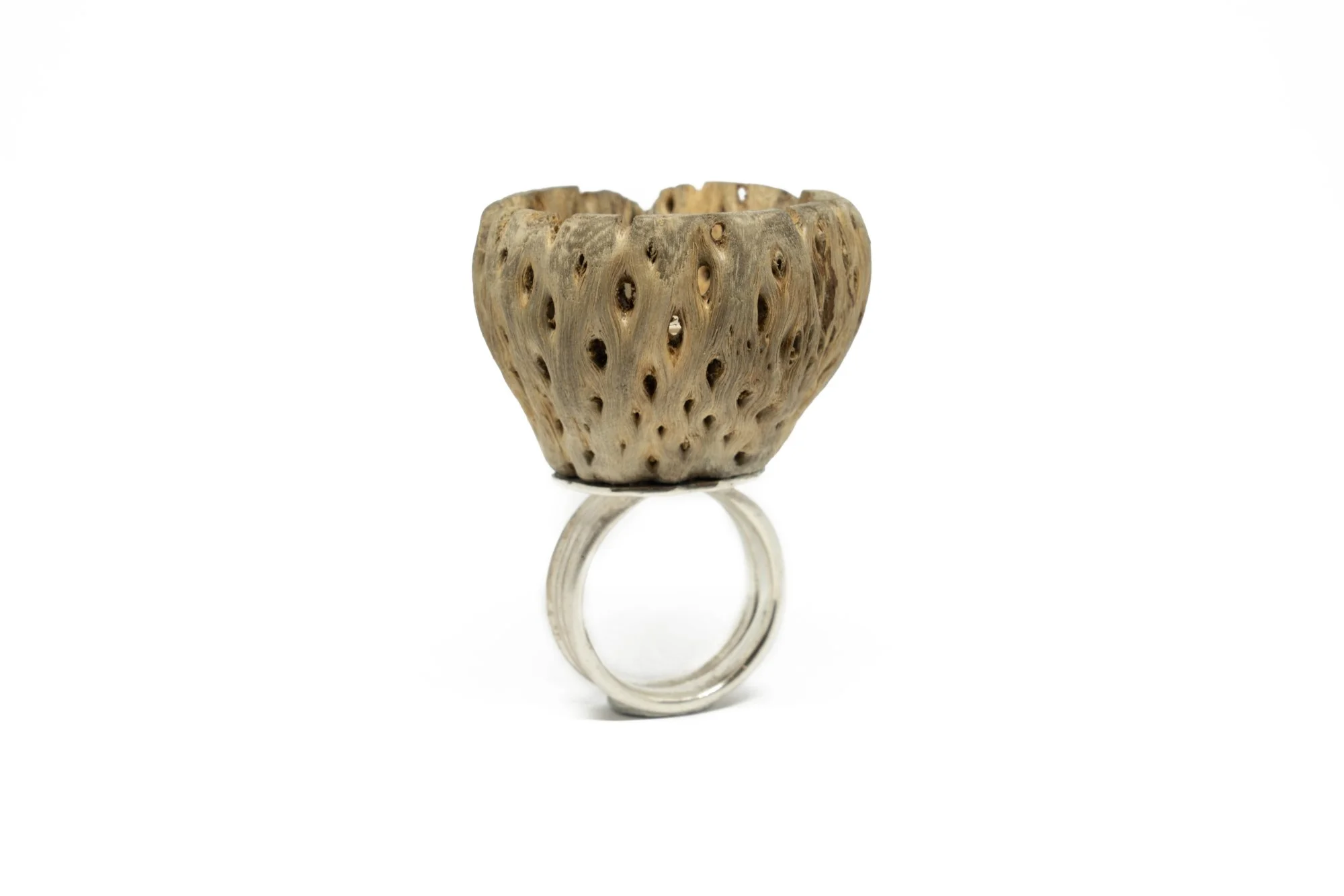 1Kamile Staneliene. Ring.jpg