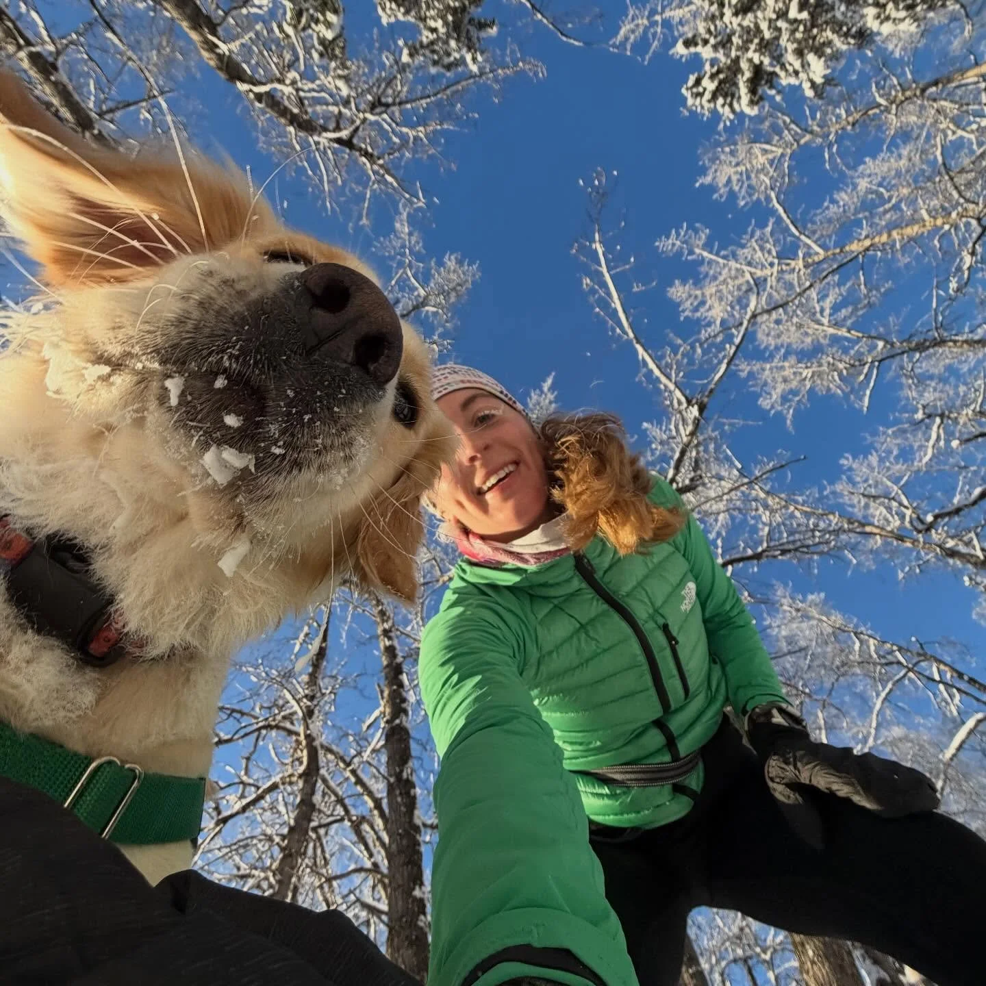 good little life moments lately ⛷️🌵☃️✨

treadmill and @theakdome miles not pictured
