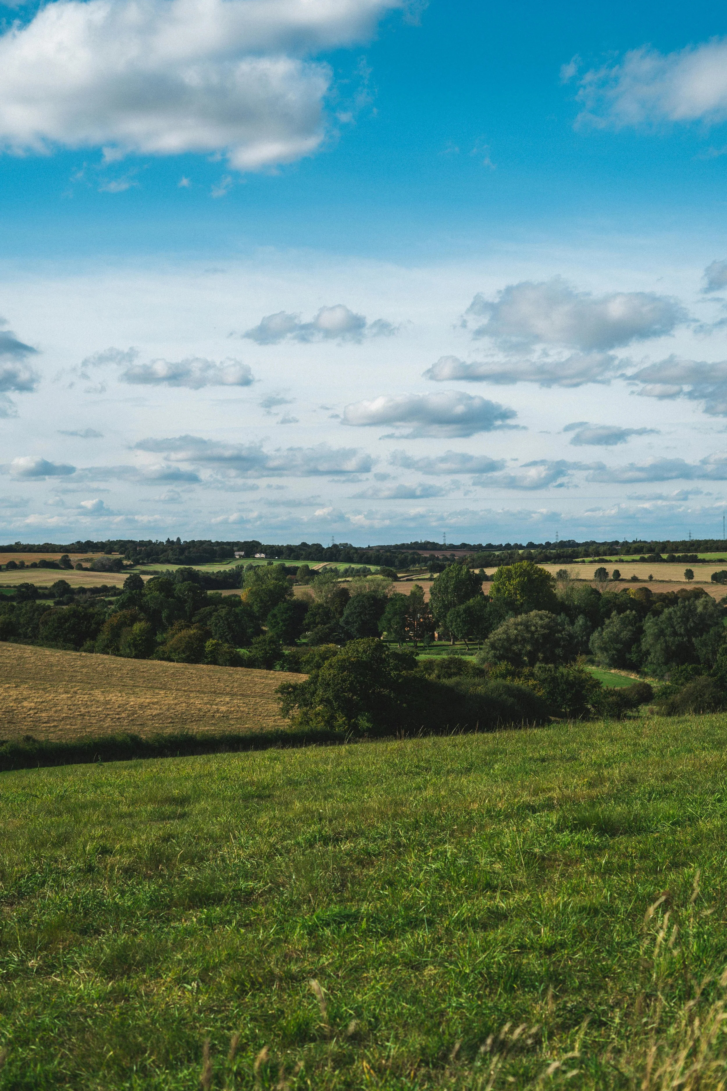 Land Bridging Loans