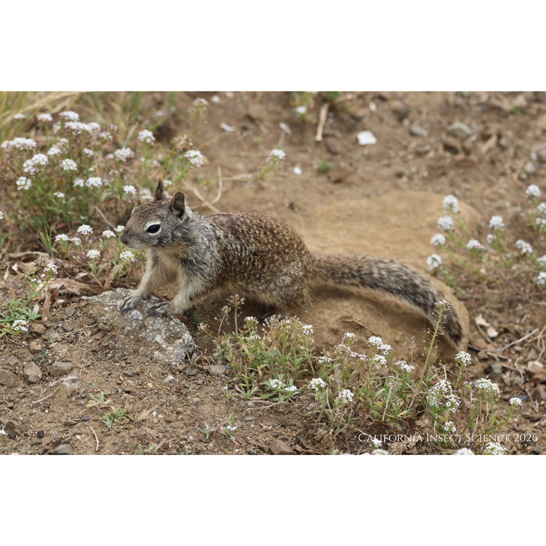 We're Managing the Wrong Squirrels: The Breeding Stock Problem Nobody Talks About