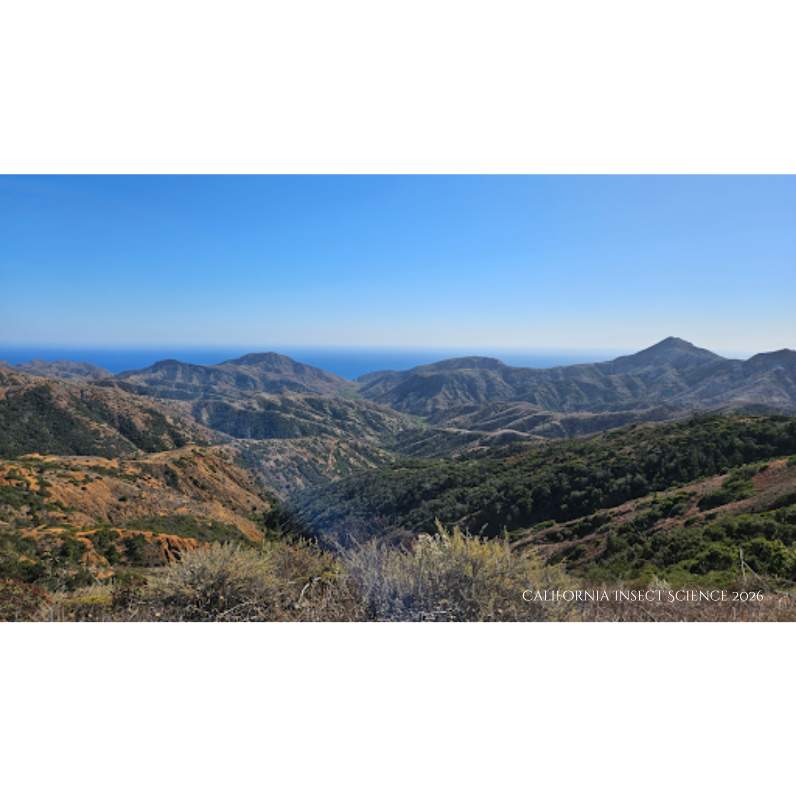 The view from South Ridge Rd. looking across the southern expanse of Santa Cruz Island.