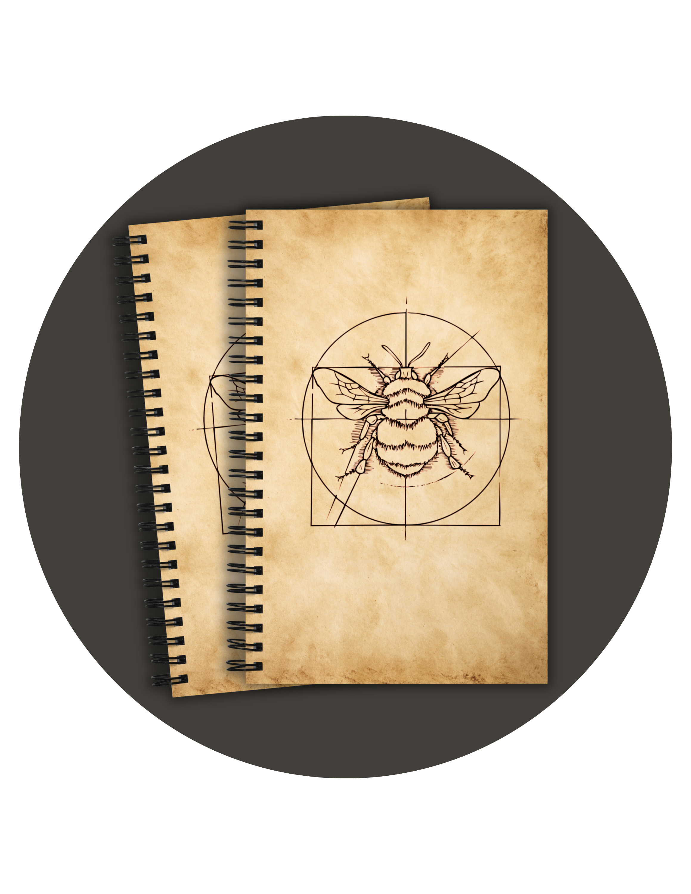Spiral bound notebook with a hand drawn design of a bumble bee overlaid with geometric design, inspired by da Vinci's Vitruvian Man, on aged sepia paper on the cover.