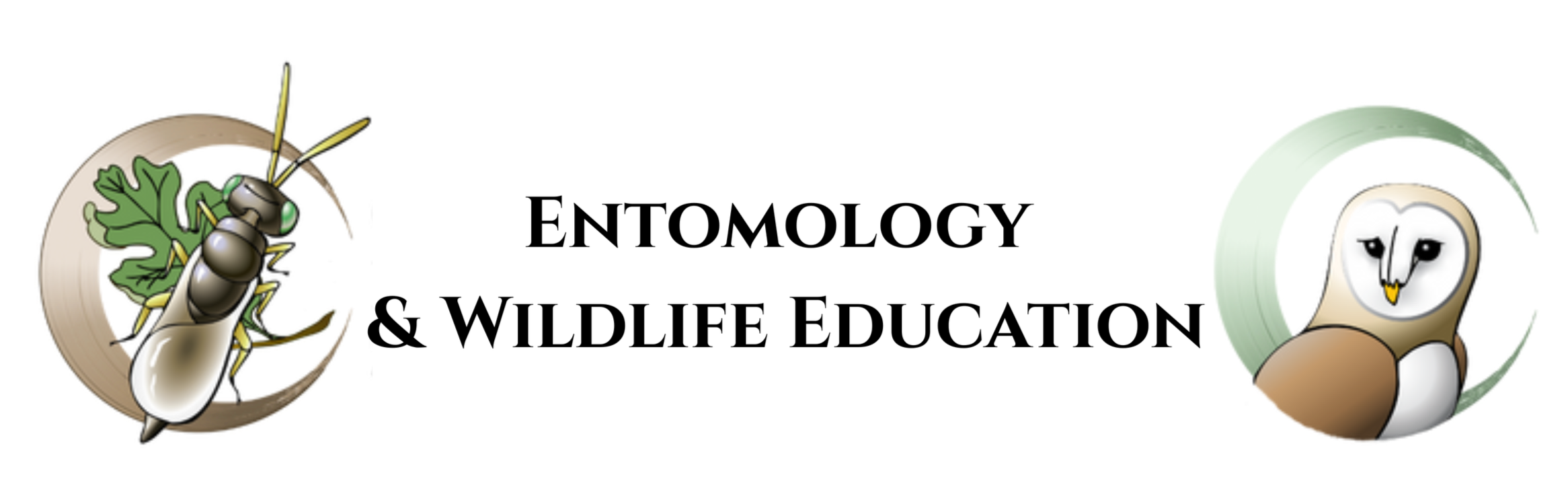 Entomology and wildlife education