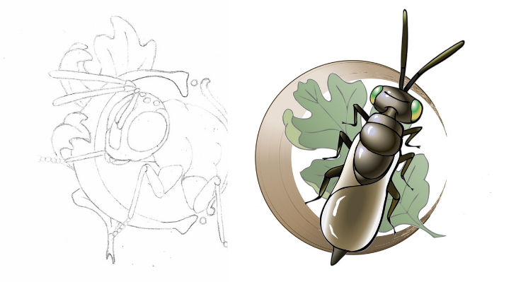 An pencil sketch of Frieda the wasp and the final logo for California Insect Science.