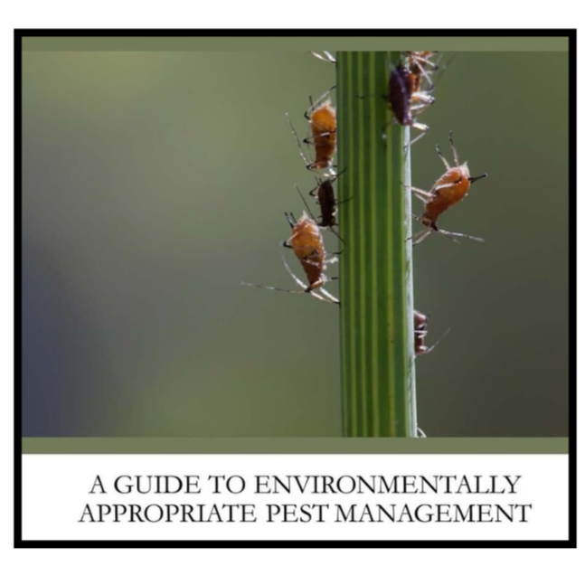 The Biological Control Companion book cover