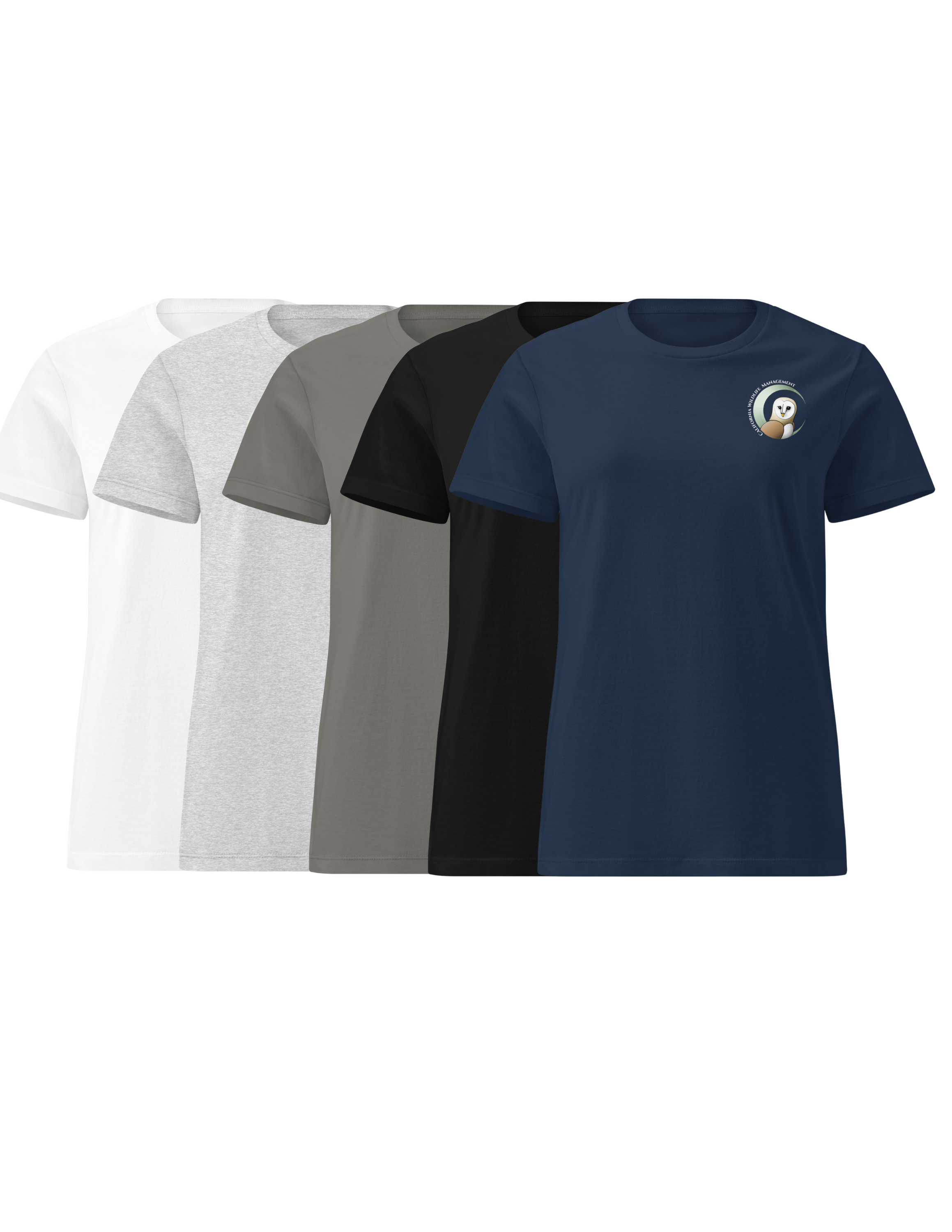 Merch Files.png