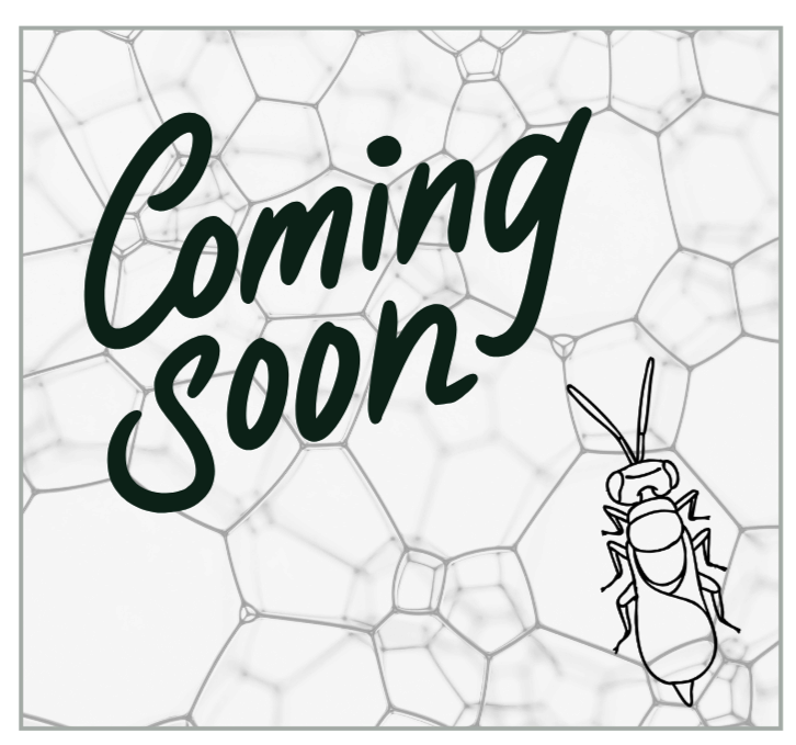 A spider web with the words "Coming Soon" written in large, cursive font, and a black outline illustration of a fly in the bottom right corner.