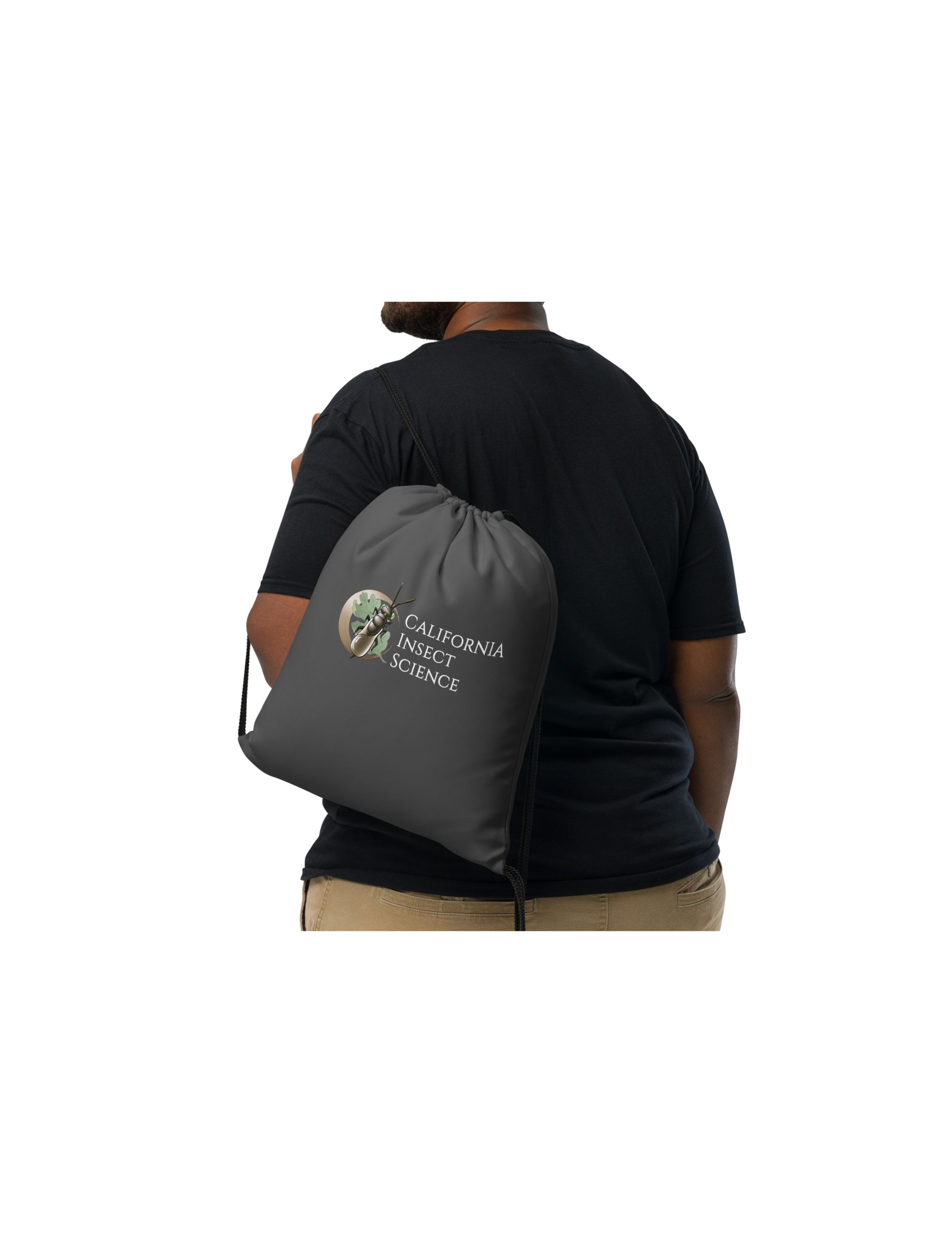 Merch Files(76).png