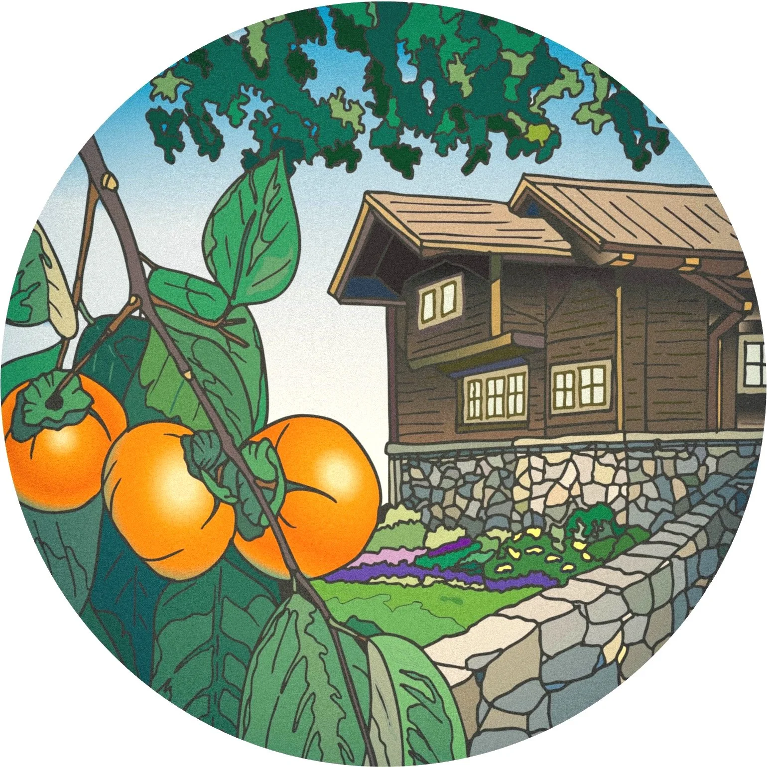 The home and landscape desine - an original design depicting a craftsman-style home with a persimmon tree in the landscape.