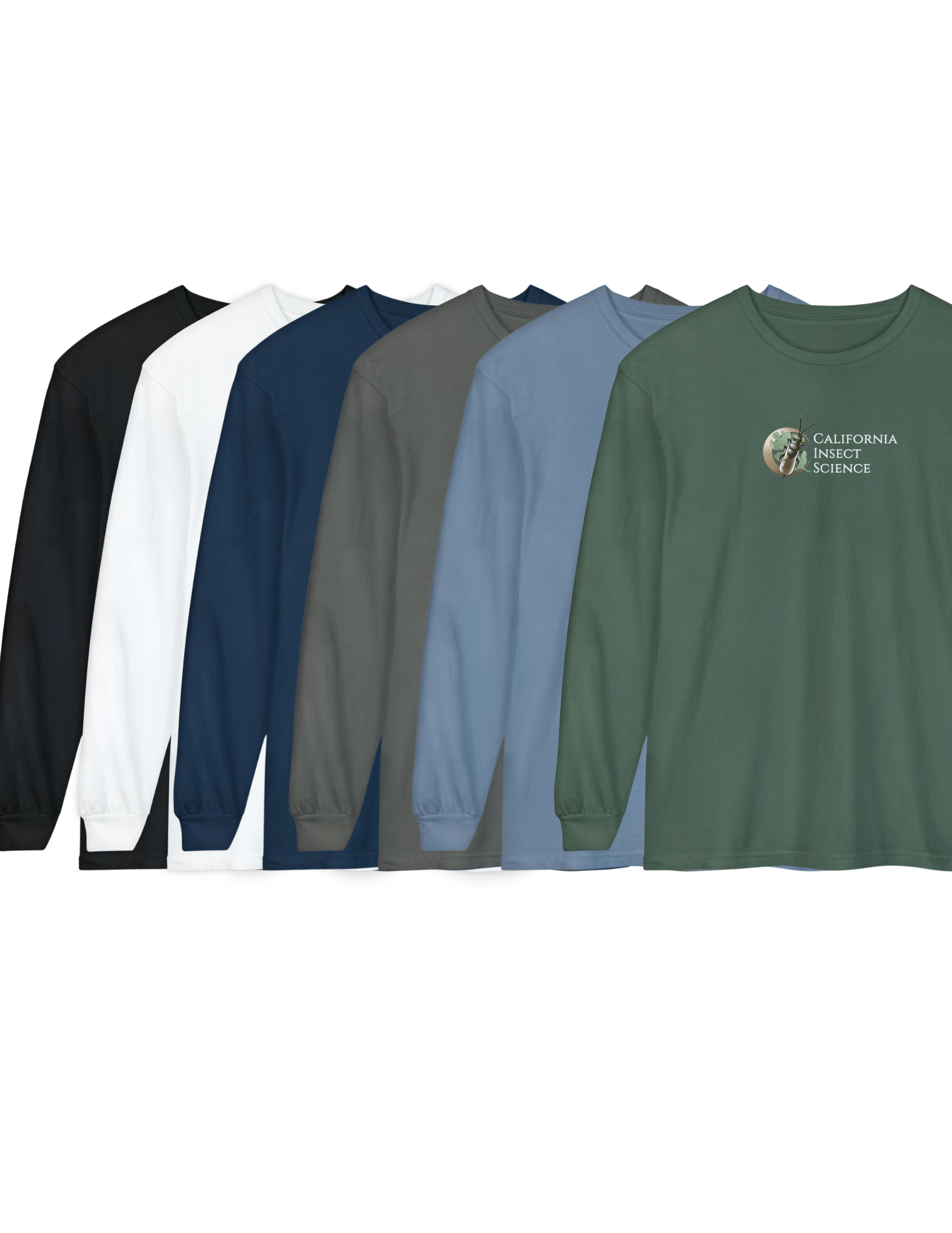 Merch Files(62).png