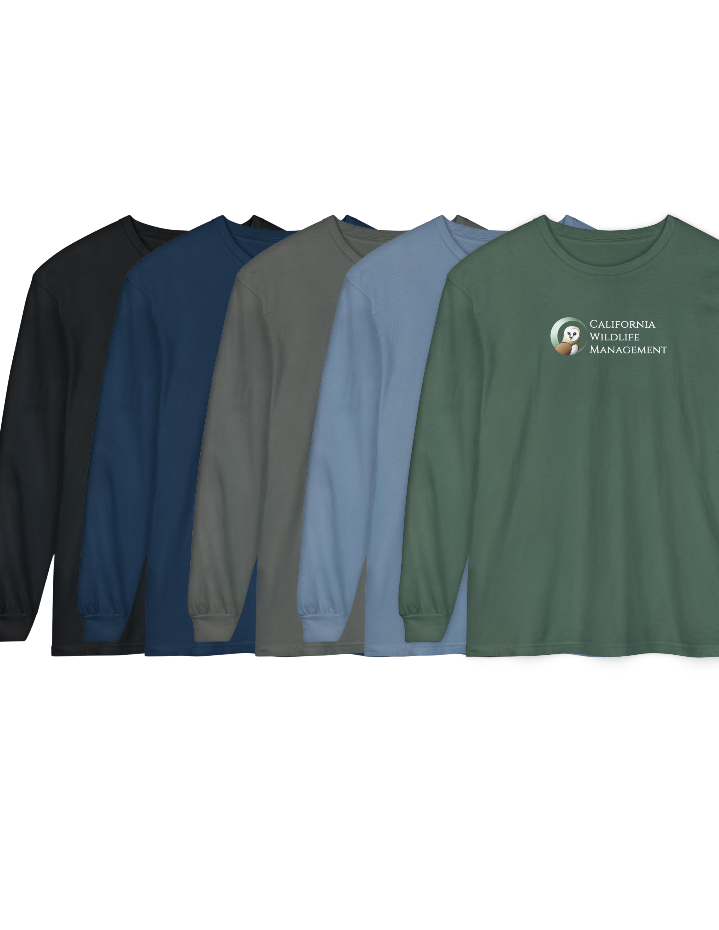 Merch Files(81).png