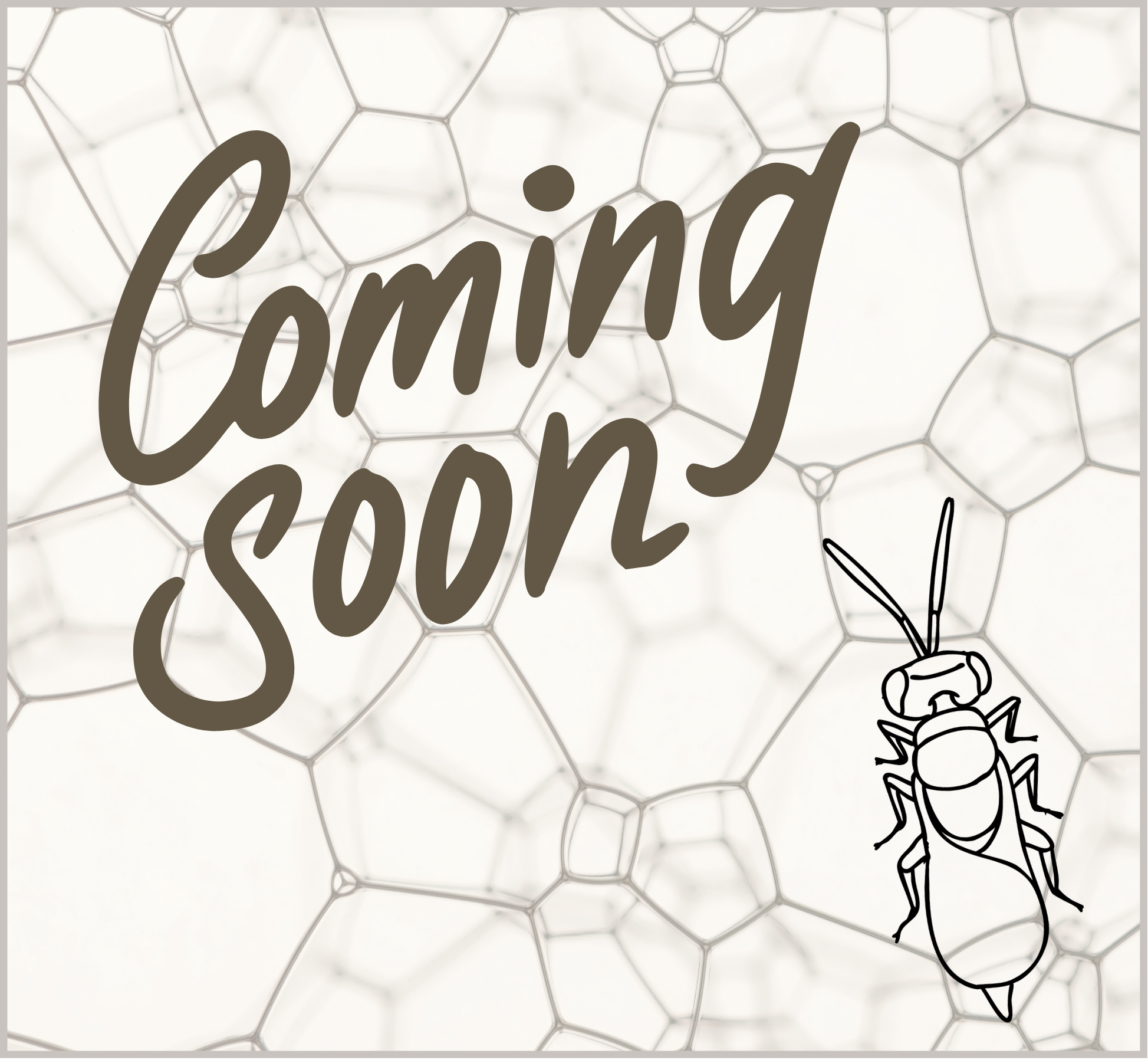 Continuing education coming soon