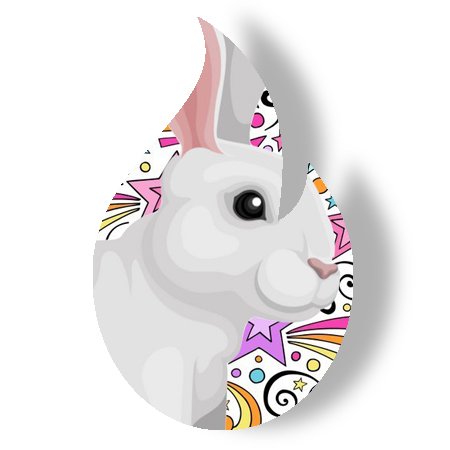 Magic Rabbit