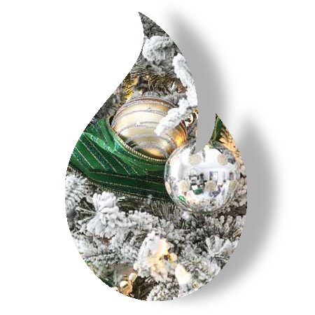 Shimmering Spruce