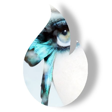 Madame Butterfly
