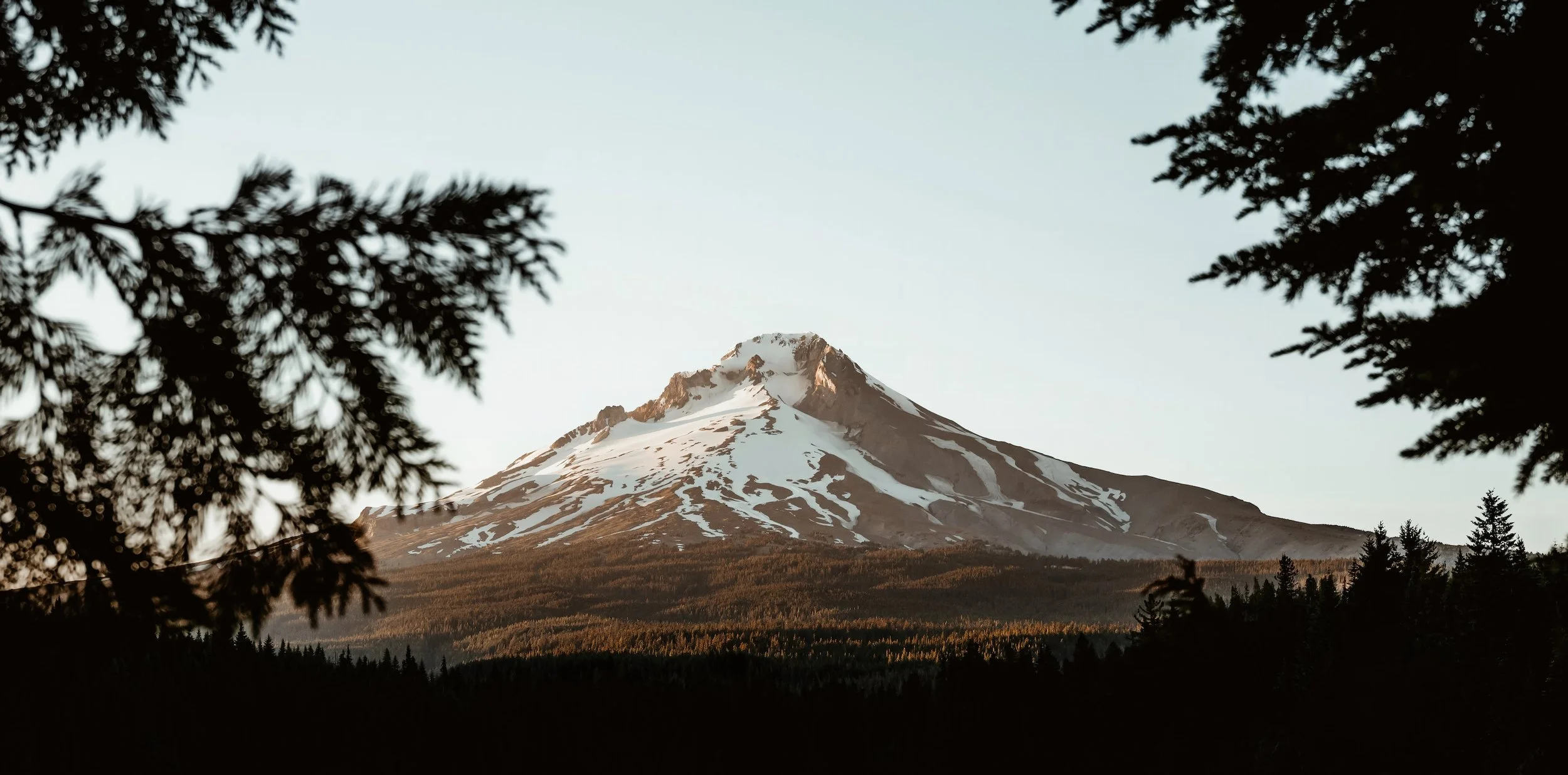 Mt Hood Wide copy.jpg