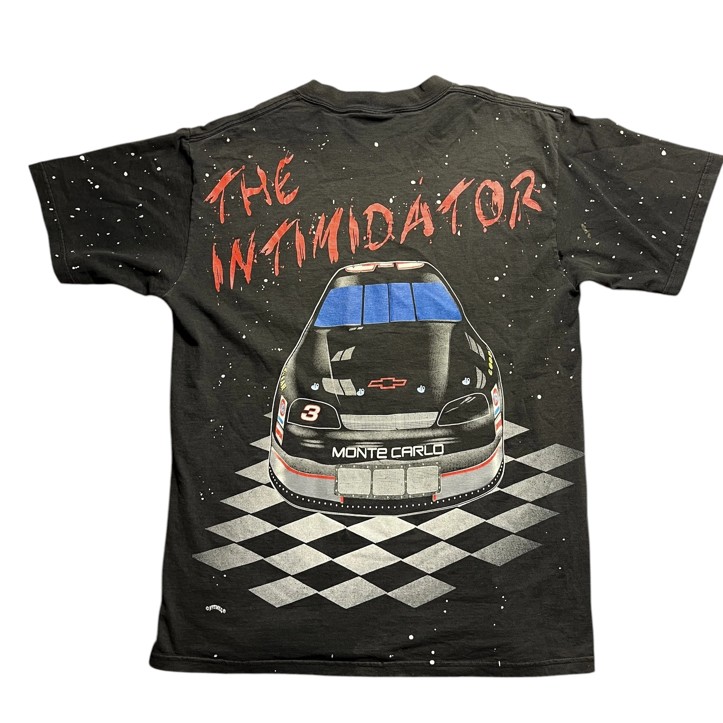 1995 Dale Earnhardt (2-back).JPEG