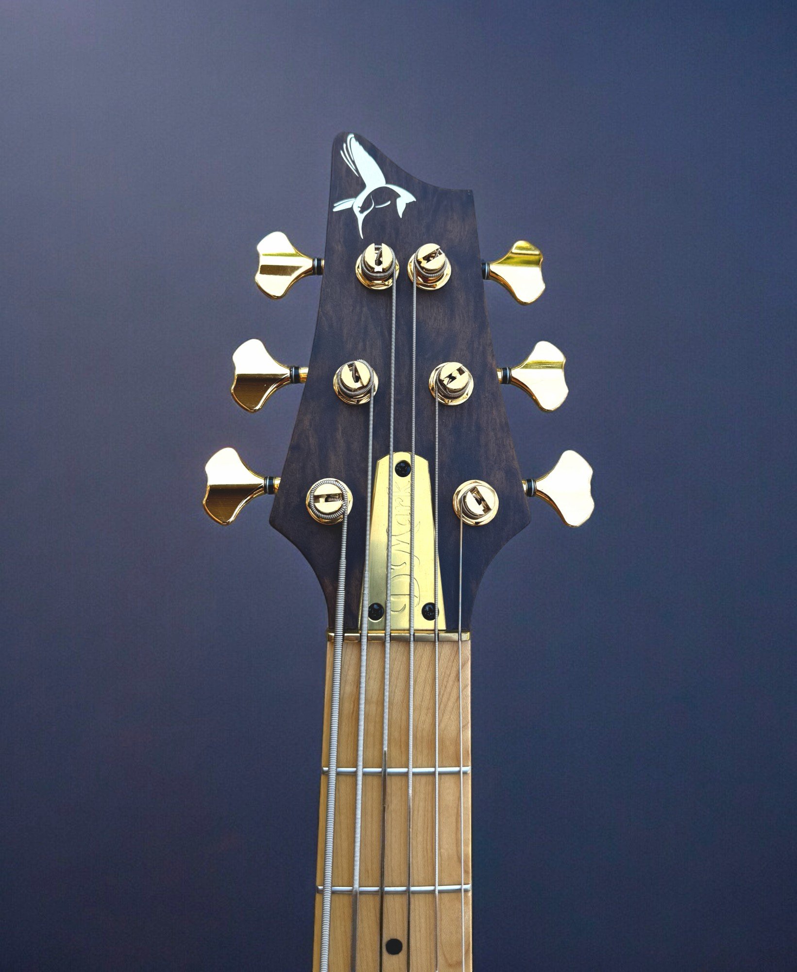 D'Mark Alpha 6 Exotic Imbuia FRONT HEADSTOCK-Photoroom.jpg