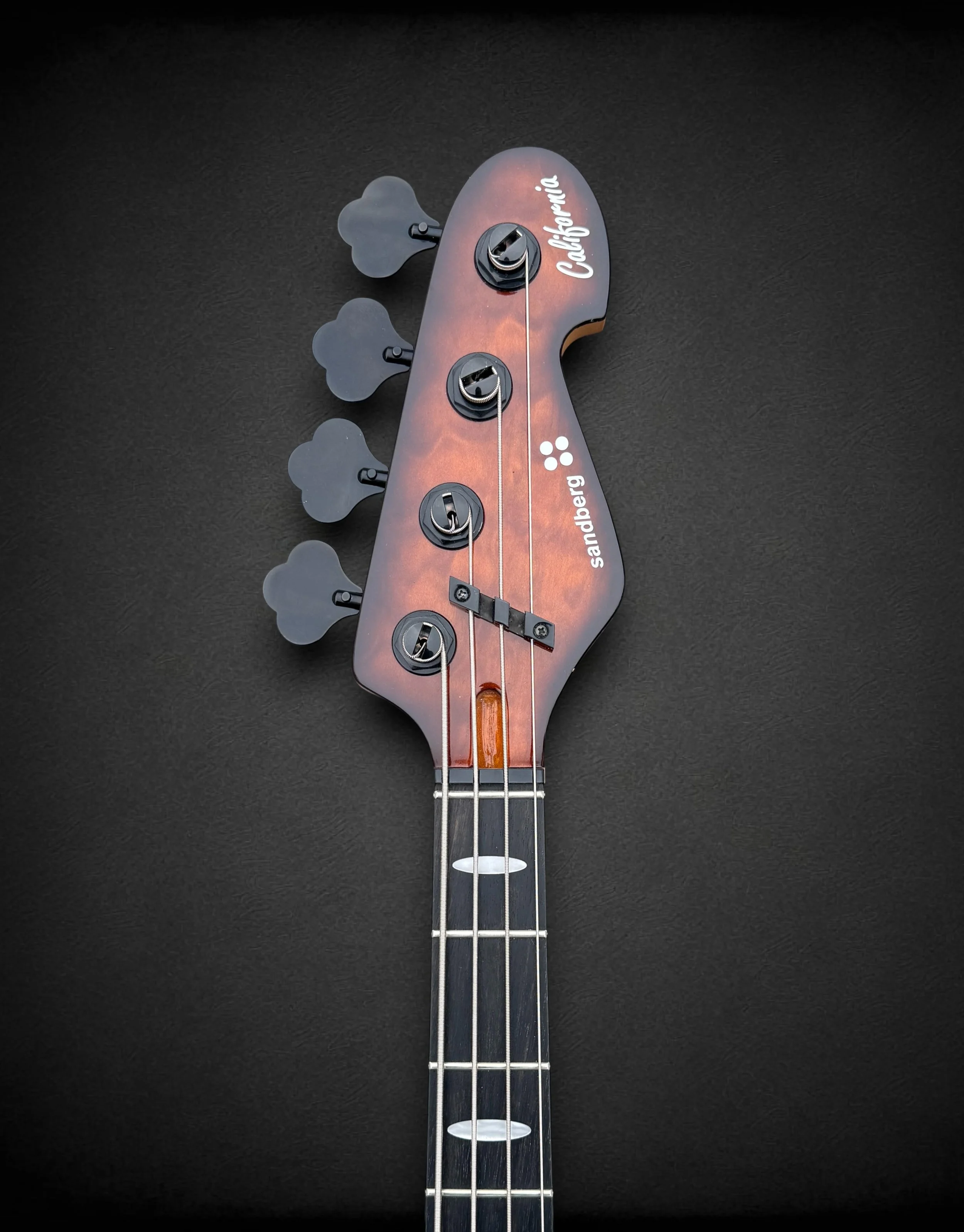 Sandberg Custom 4 FRONT HS-Photoroom.jpg