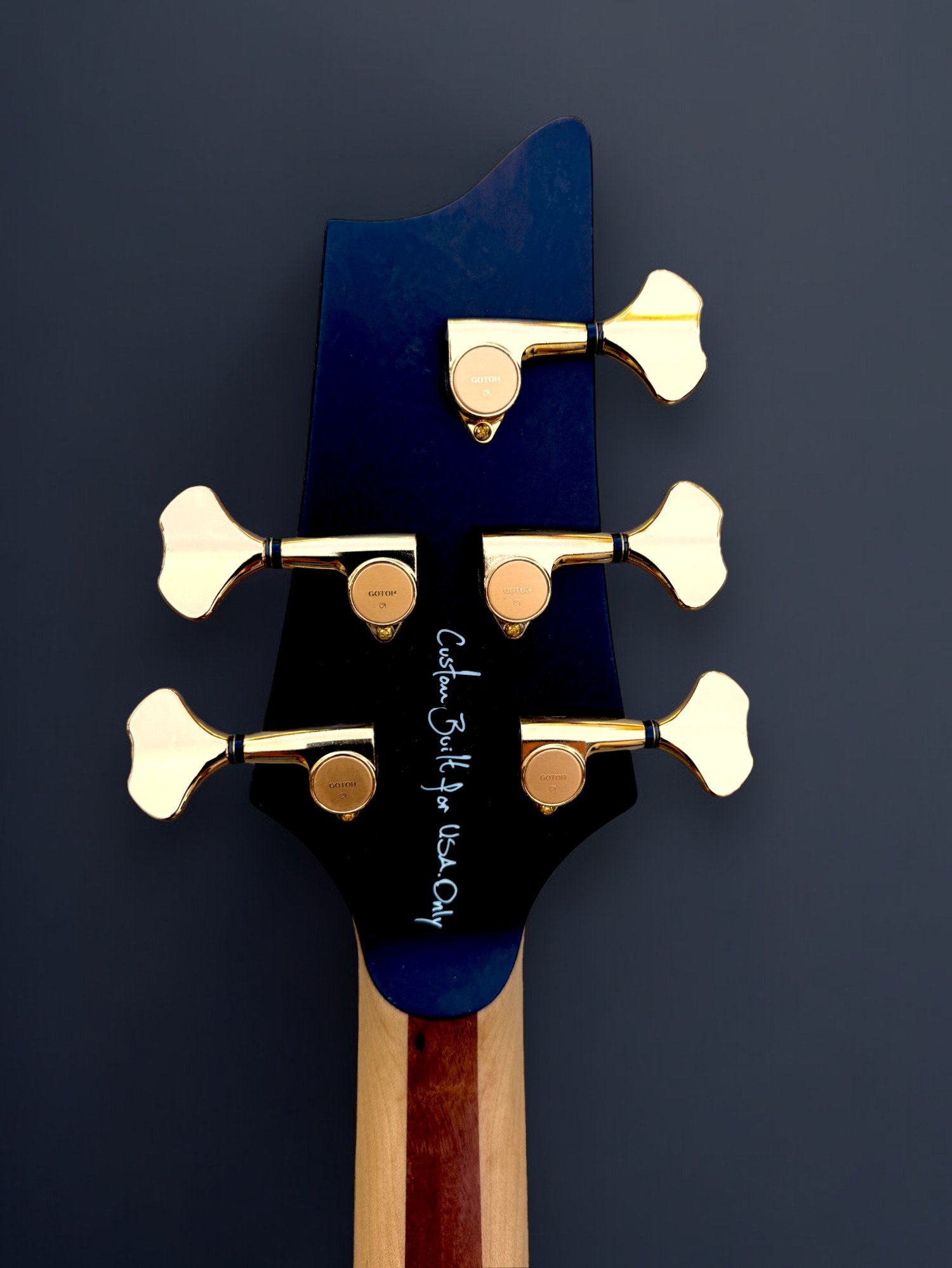 D'Mark Omega 5 Exotic Noguiera BACK HEADSTOCK-Photoroom.jpg