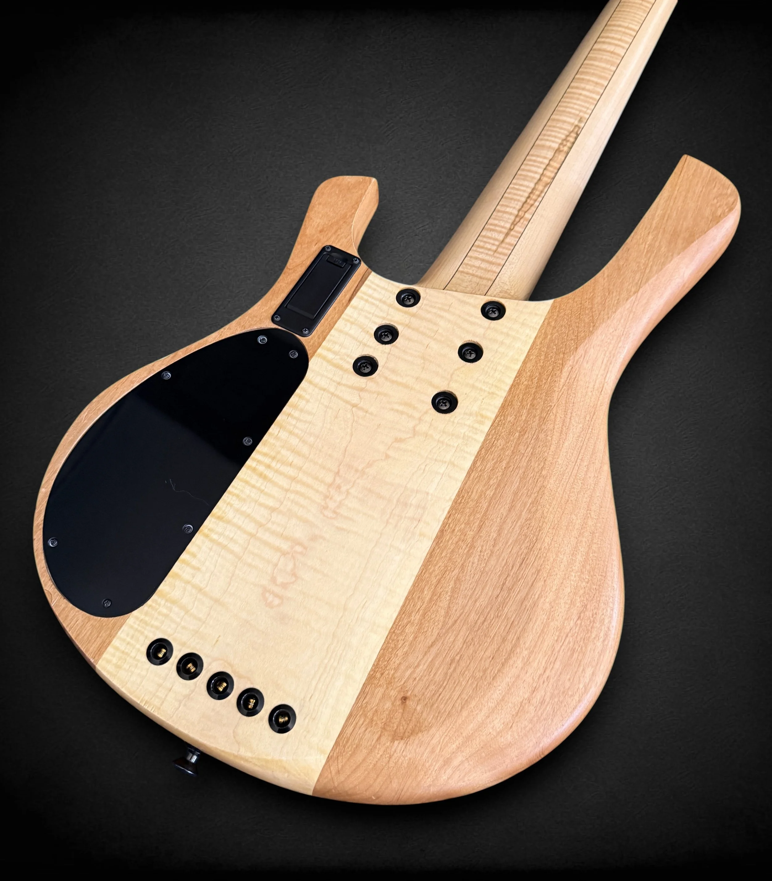 Seldon Alchemist 5 BACK TR.jpg
