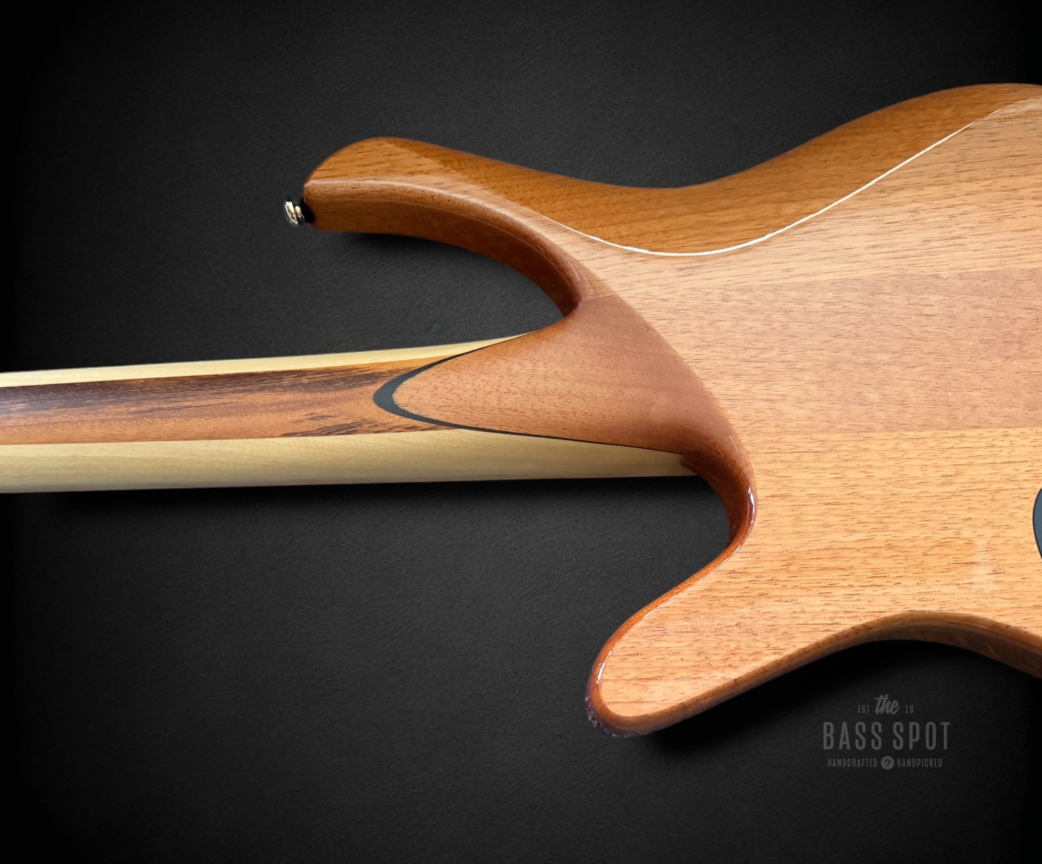 Untitled design 6.PNG